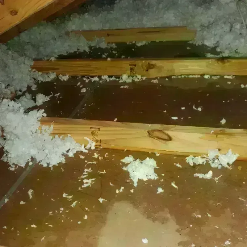 Attic Water Damage in Glendora, CA